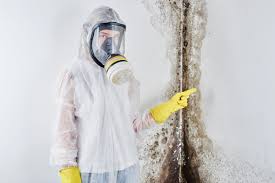 Best Mold Odor Removal Services  in Kershaw, SC